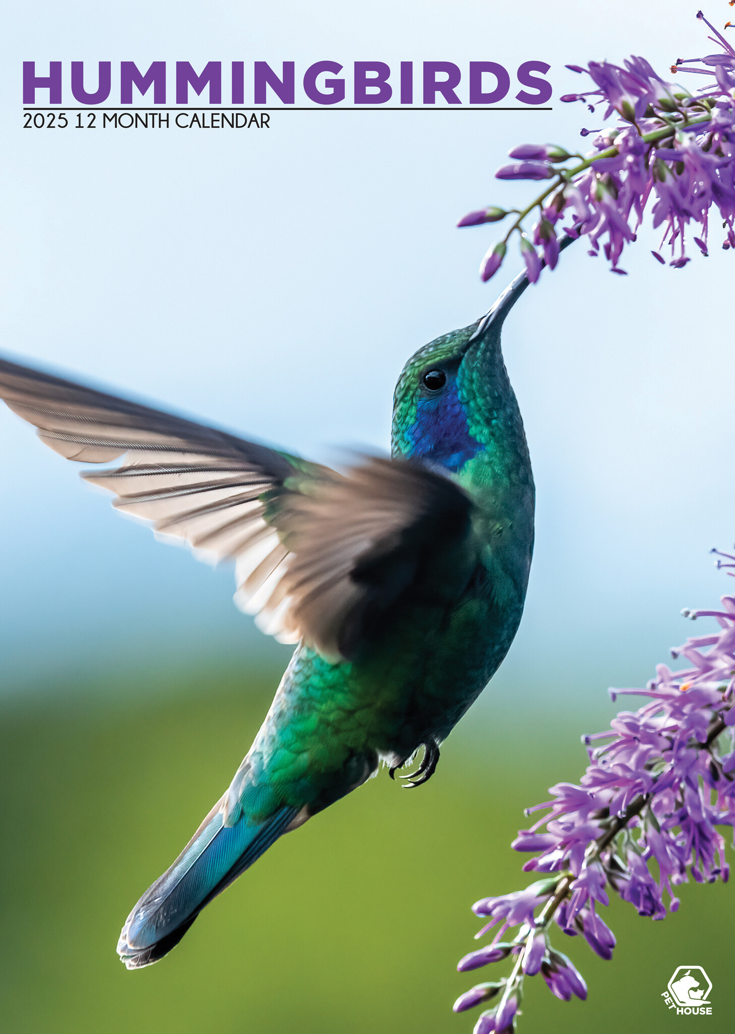 Buying Hummingbirds A3 Calendar 2025? Order online quickly and easily. Kalenderwinkel.nl