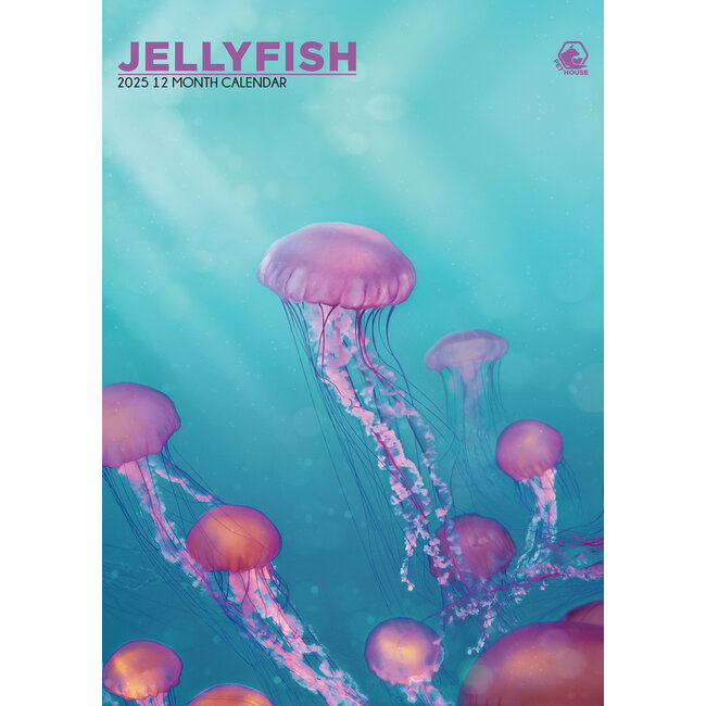 Jellyfish A3 Calendar 2025