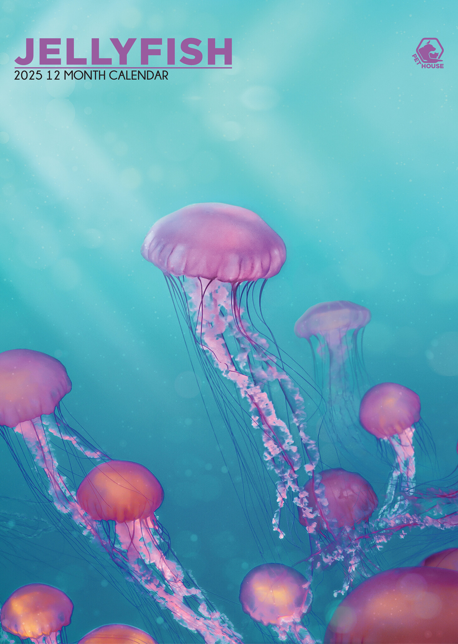 Buying Jellyfish A3 Calendar 2025? Order online quickly and easily