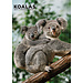 CalendarsRUs Koalas Calendario A3 2025