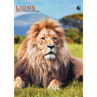 CalendarsRUs Lions A3 Calendar 2025