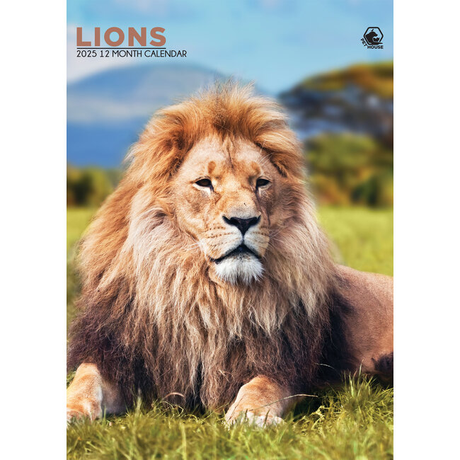 Lions A3 Calendar 2025