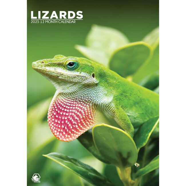 Lizards A3 Calendar 2025