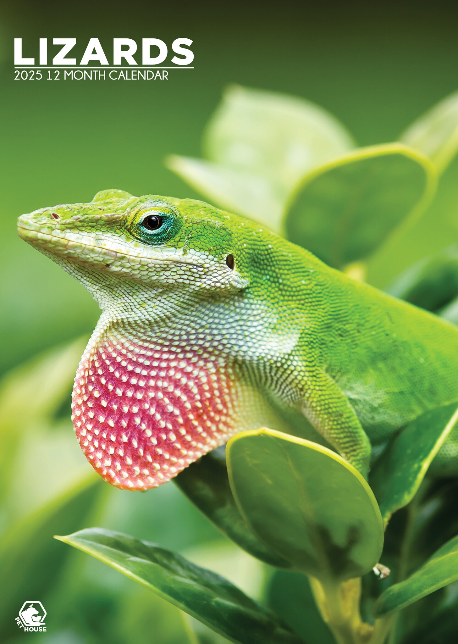 Buying Lizards A3 Calendar 2025? Order online quickly and easily