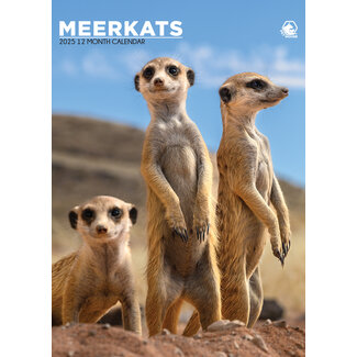 CalendarsRUs Meerkats A3 Calendar 2025