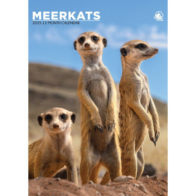 Meerkats A3 Calendar 2025