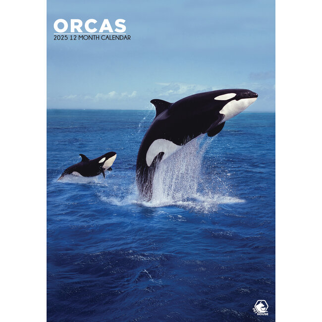 Orcas A3 Calendar 2025