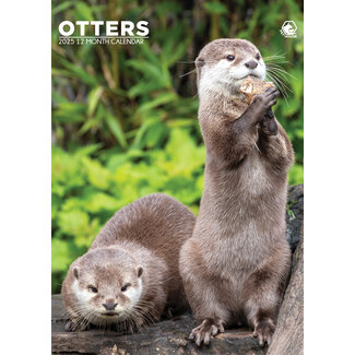 CalendarsRUs Calendrier A3 Otters 2025