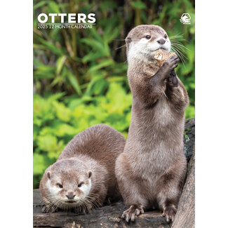 CalendarsRUs Otters A3 Kalender 2025