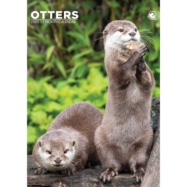 Otters A3 Kalender 2025