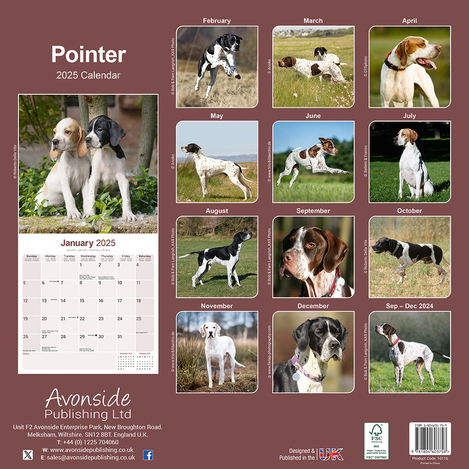 Buying Pointer Calendar 2025? Order online quickly and easily