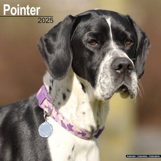 Avonside Pointer Kalender 2025