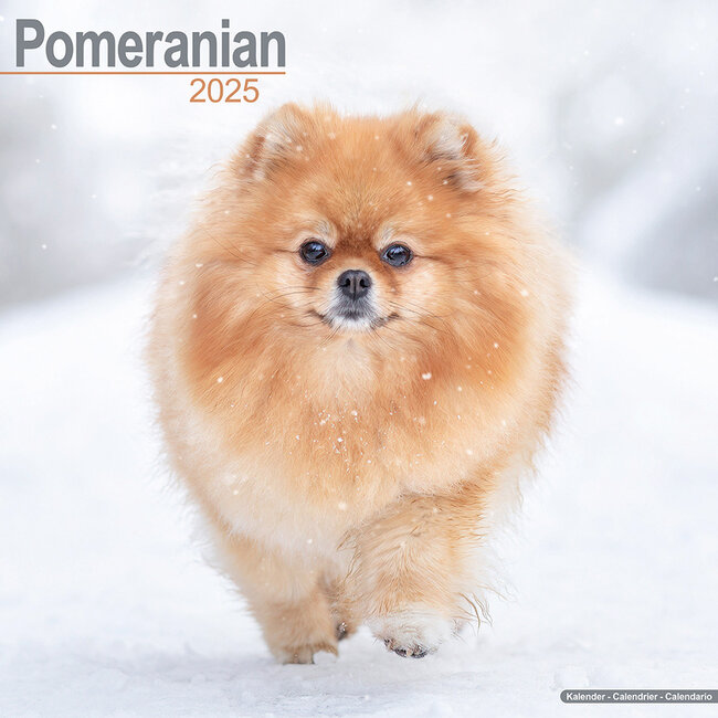 Avonside Calendario Pomerania 2025