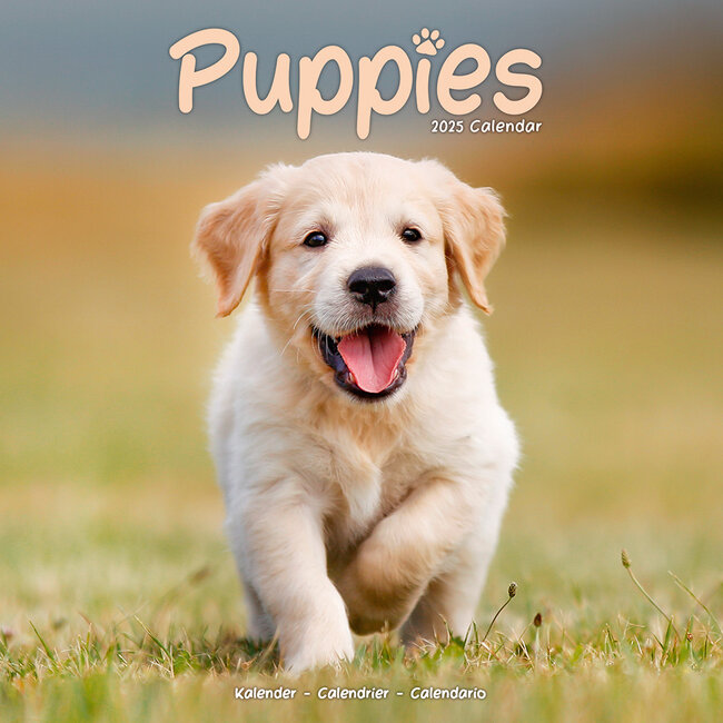 Avonside Puppies Calendar 2025