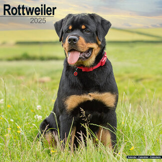 Avonside Rottweiler Calendar 2025