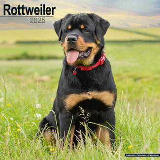 Avonside Rottweiler Kalender 2025