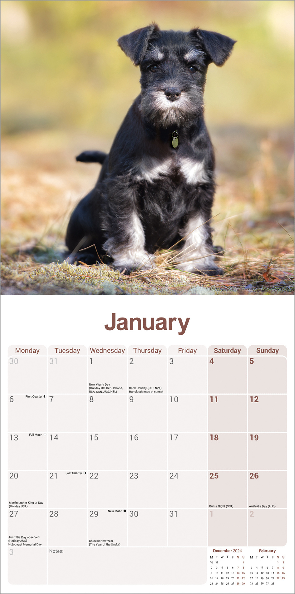 Buy Miniature Schnauzer Calendar 2025 Order easily online