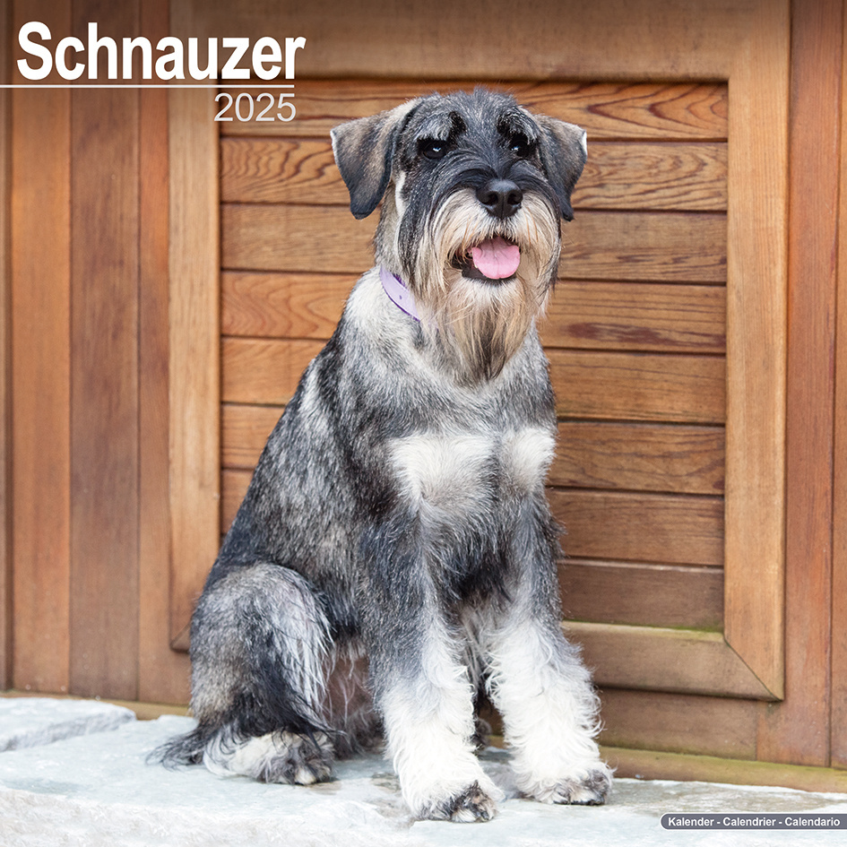 Buy Schnauzer Calendar 2025? Order online quickly and easily