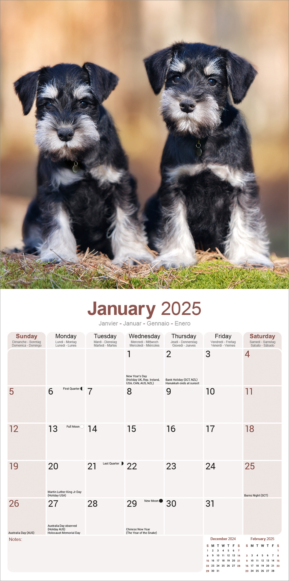 Buy Schnauzer Calendar 2025? Order online quickly and easily