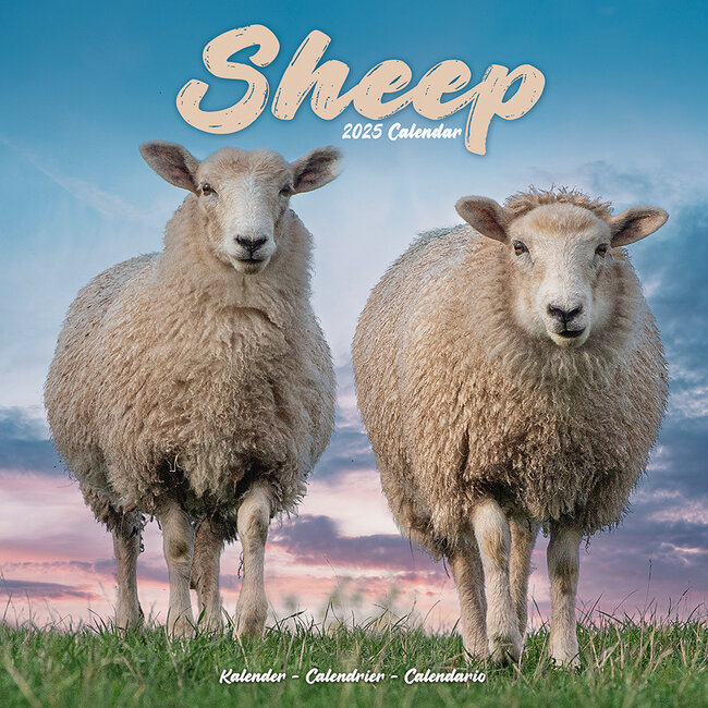 Calendario delle pecore 2025