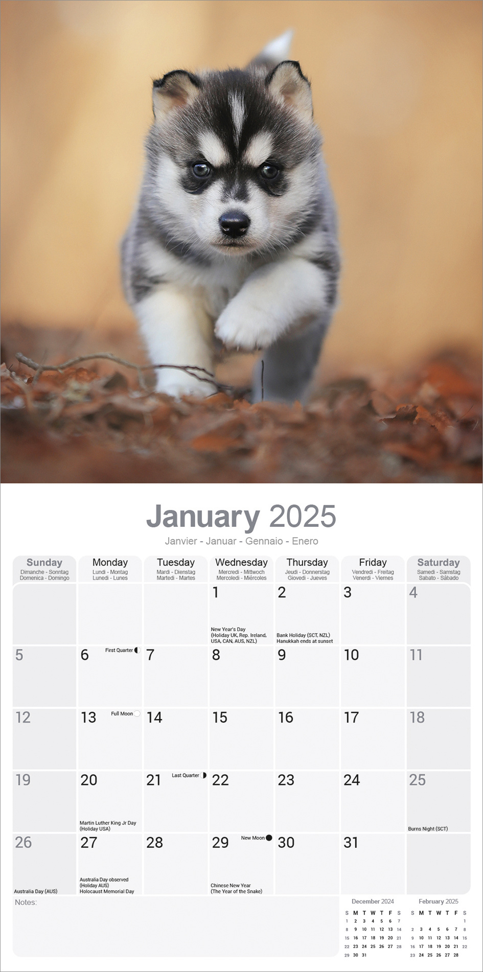 Comprar Calendario Husky Siberiano 2025? Pídalo fácilmente en línea Kalenderwinkel.nl