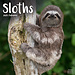Avonside Sloth / Sloths Calendar 2025