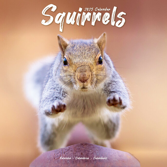 Squirrel Calendar 2025