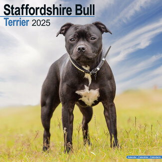 Avonside Staffordshire Bull Terrier Calendario 2025