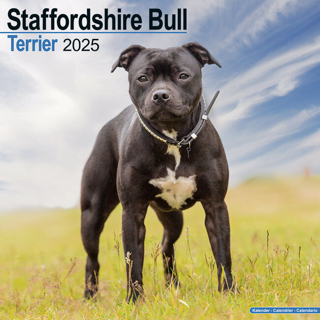 Avonside Staffordshire Bull Terrier Calendar 2025
