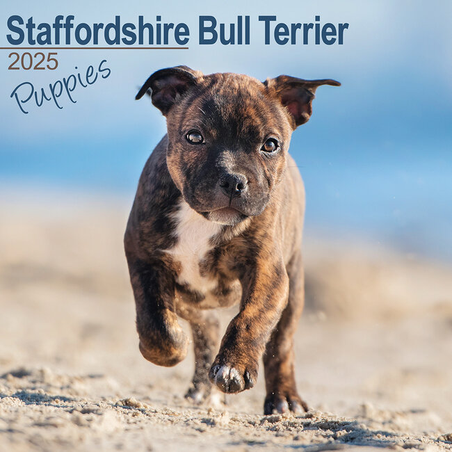 Calendario dei cuccioli di Staffordshire Bull Terrier 2025