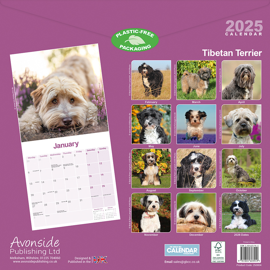 Buying Tibetan Terrier Calendar 2025 Order easily online Kalenderwinkel.nl