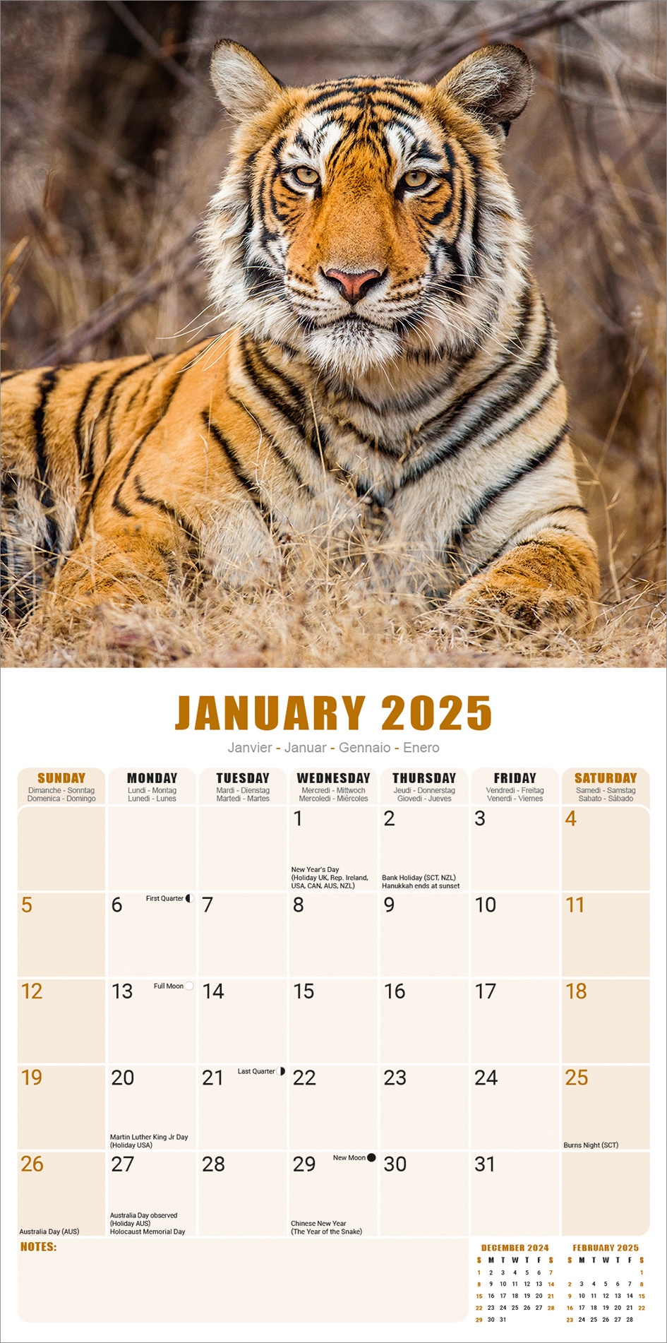 Buying Tiger Calendar 2025? Order online quickly and easily