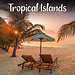 Avonside Calendario Islas Tropicales 2025