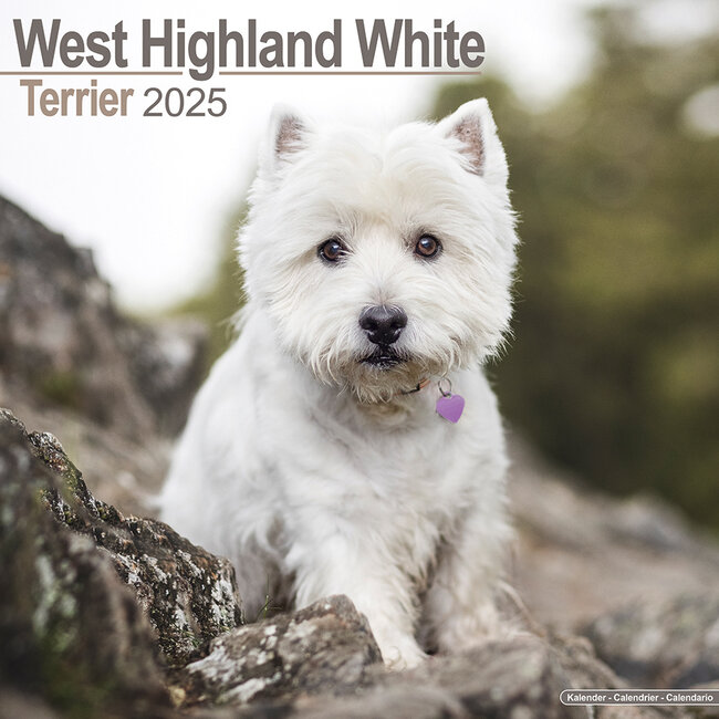 Calendario West Highland White Terrier 2025