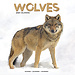 Avonside Calendrier des loups 2025