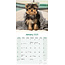 Yorkshire Terrier Kalender 2025