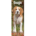 Avonside Beagle Calendar 2025 Slimline