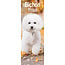 Avonside Bichon Frise Kalender 2025 Slimline