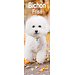 Avonside Bichon Frise Calendar 2025 Slimline