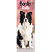 Avonside Calendrier Border Collie 2025 Slimline