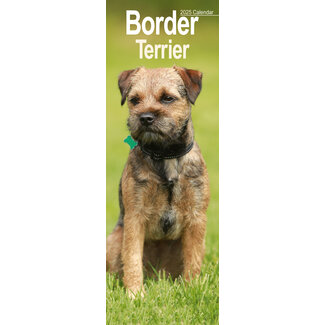 Avonside Border Terrier Calendar 2025 Slimline