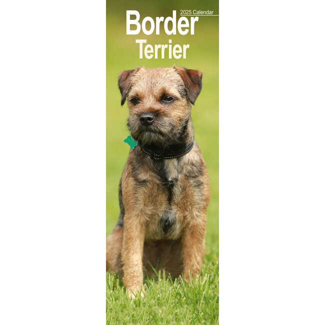 Avonside Border Terrier Kalender 2025 Slimline