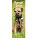 Avonside Border Terrier Calendar 2025 Slimline