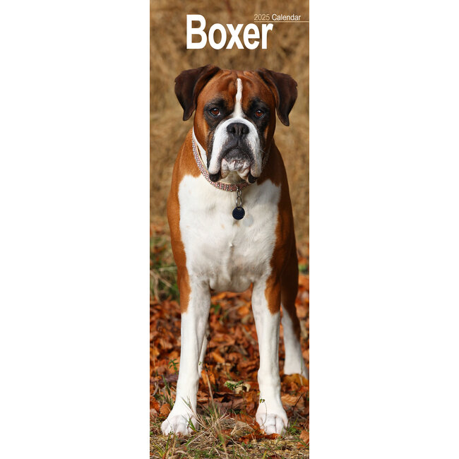 Boxer Calendar 2025 Slimline