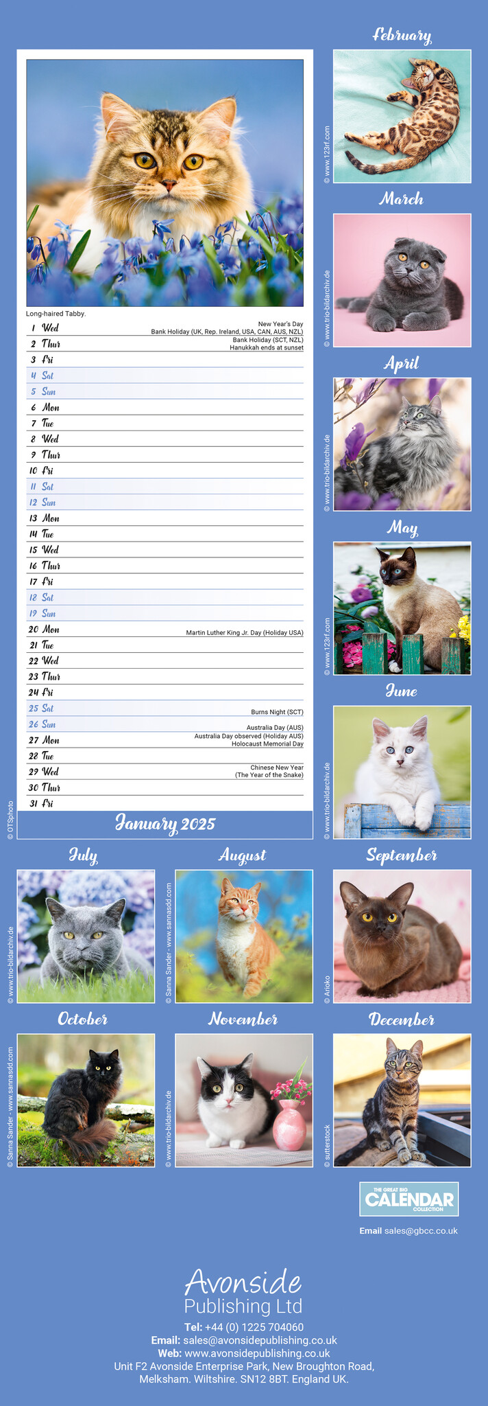 Buy Cat Calendar 2025 Slimline order online easily Kalenderwinkel.nl