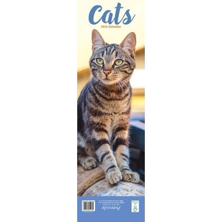 Avonside Cat Calendar 2025 Slimline