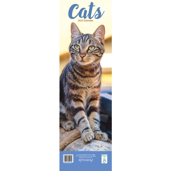Avonside Cat Calendar 2025 Slimline