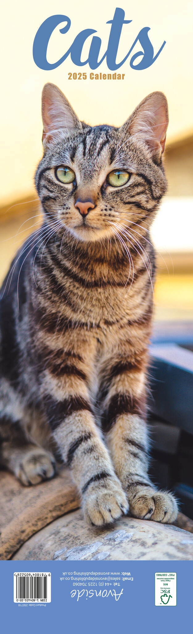 Buy Cat Calendar 2025 Slimline order online easily Kalenderwinkel.nl