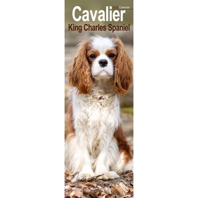 Calendario del Cavalier King Charles Spaniel 2025 Slimline