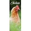 Avonside Calendrier des poulets 2025 Slimline